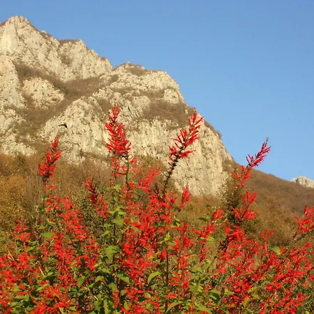 Deviscio Alloggio per agriturismo