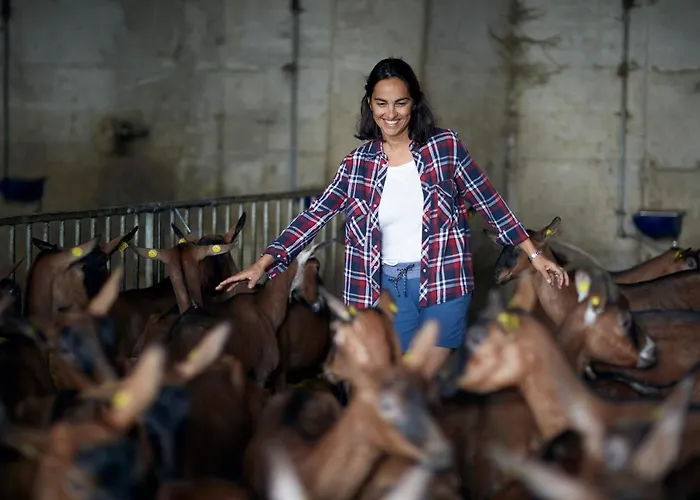 مزرعة للإقامة Deviscio