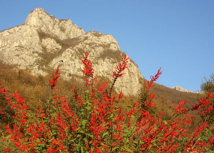 مزرعة للإقامة Deviscio